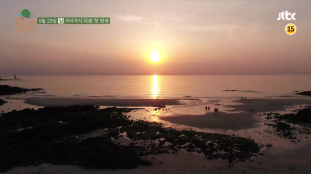 이상순이효리 ＜효리네민박＞의 알바생으로 온 아이유 | 인스티즈