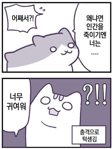 고양이 만화.jpg | 인스티즈