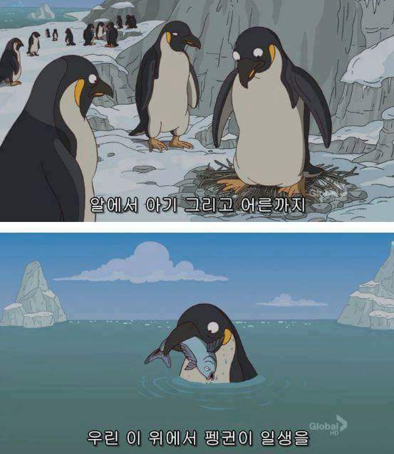 심슨에서 말하는 인생이란 | 인스티즈