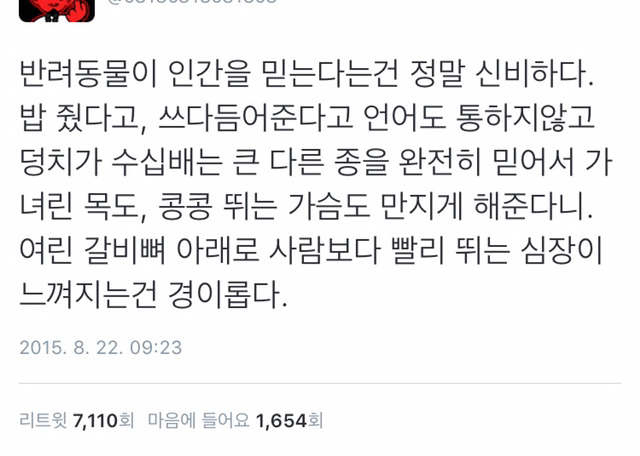 반려동물이 인간을 믿는다는건 정말 신비하다.twt | 인스티즈