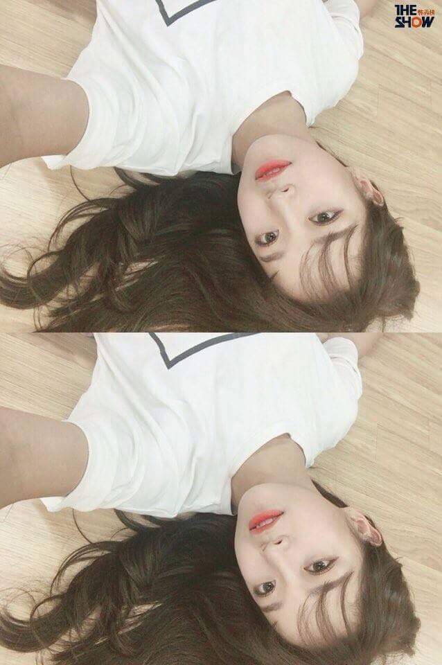 영상통화하는 세정이 | 인스티즈