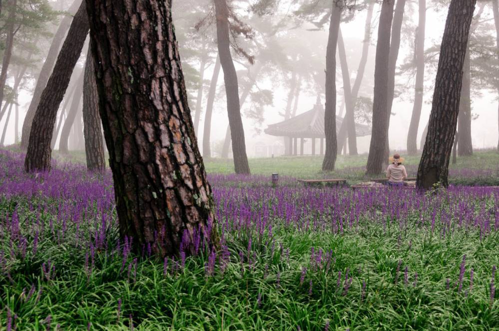 외국인이 촬영한 한국 풍경.jpg | 인스티즈