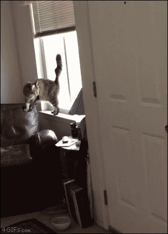 집사 마중나가는 주인님 | 인스티즈