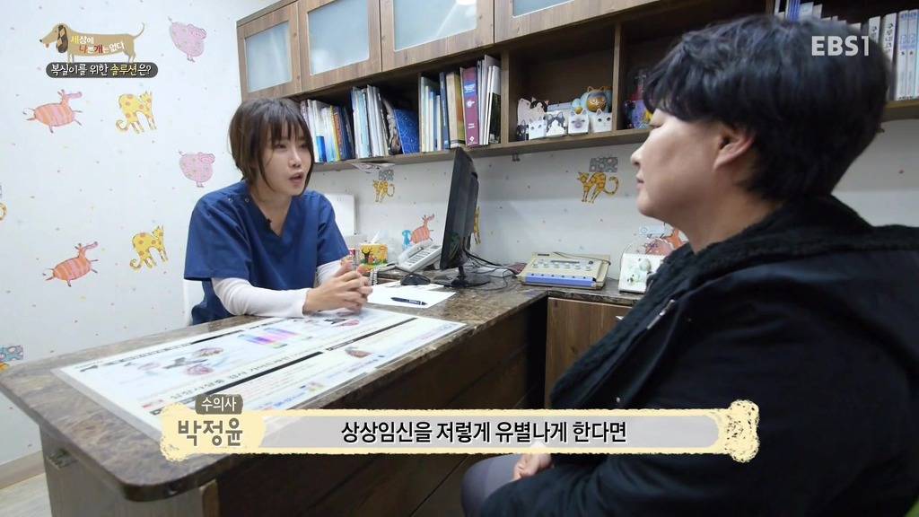 개 키울때 중성화 수술을 해줘야하는 이유 (feat.세나개) | 인스티즈