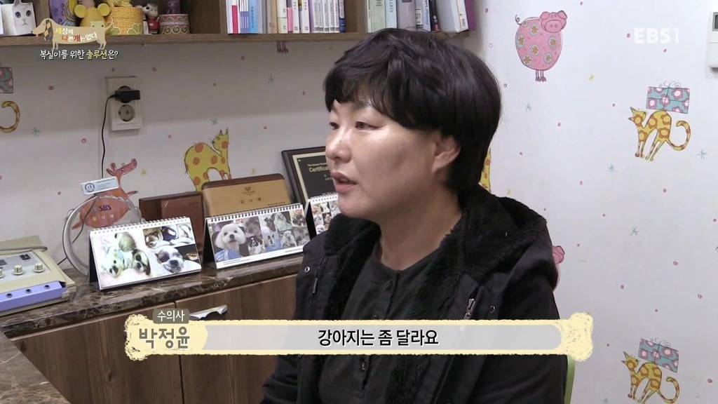 개 키울때 중성화 수술을 해줘야하는 이유 (feat.세나개) | 인스티즈