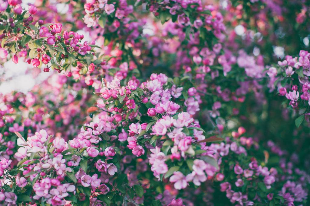 저장된 이름 하나를 지운다. 내 사소한 사랑은 그렇게 끝났다 | 인스티즈