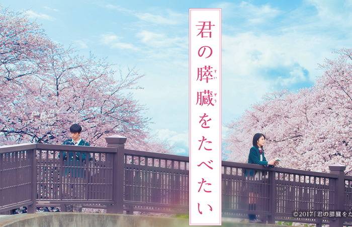 2017년 일본 영화 흥행 수입 TOP 10 | 인스티즈