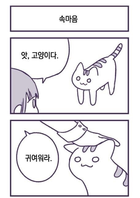 고양이 만화.jpg | 인스티즈