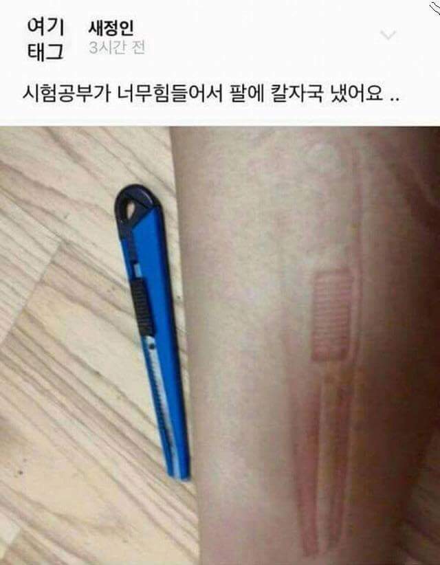 허언갤 레전드 ㅋㅋㅋㅋ | 인스티즈
