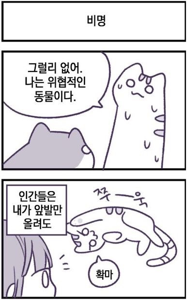 고양이 만화.jpg | 인스티즈
