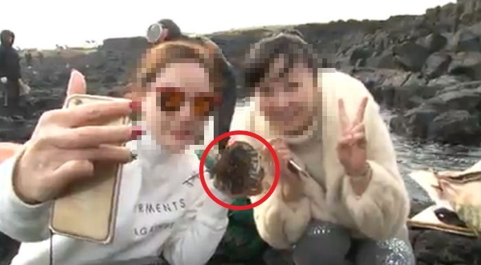 인간극장 촬영도중 제주도해녀할머니가 채취한 전복을가져가는 중국여성2명 | 인스티즈