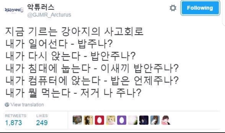 강아지가 나만 바라보는 이유 .jpg | 인스티즈