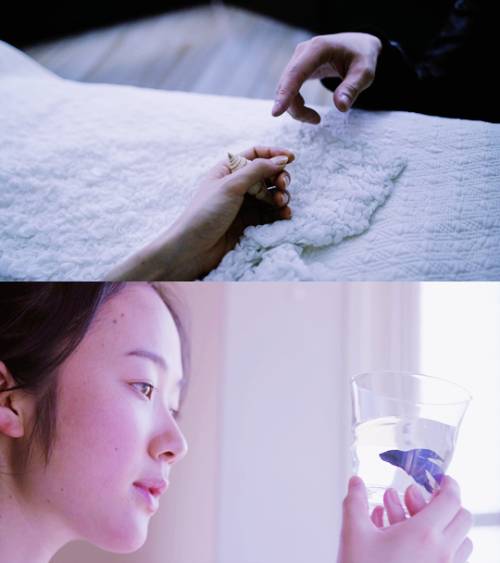 movie립반윙클의 신부 (A Bride for Rip Van Winkle, 2016) | 인스티즈