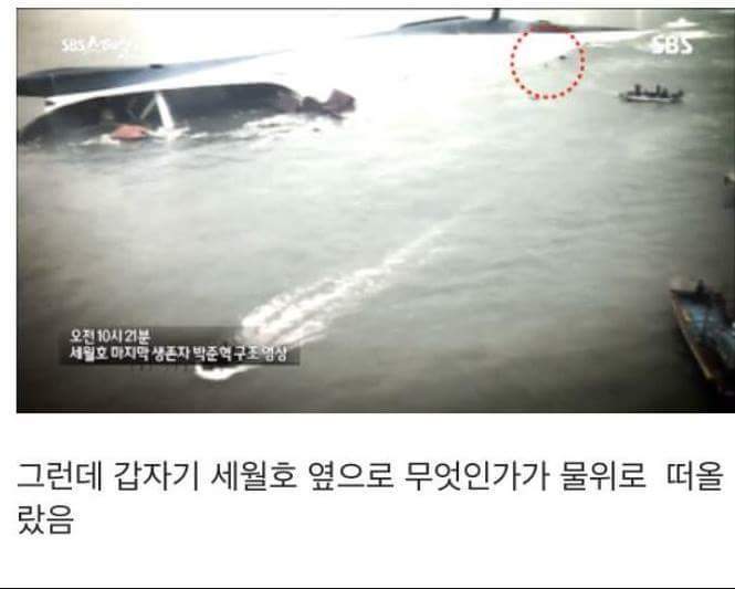 세월호참사 마지막 생존자의 사연 | 인스티즈