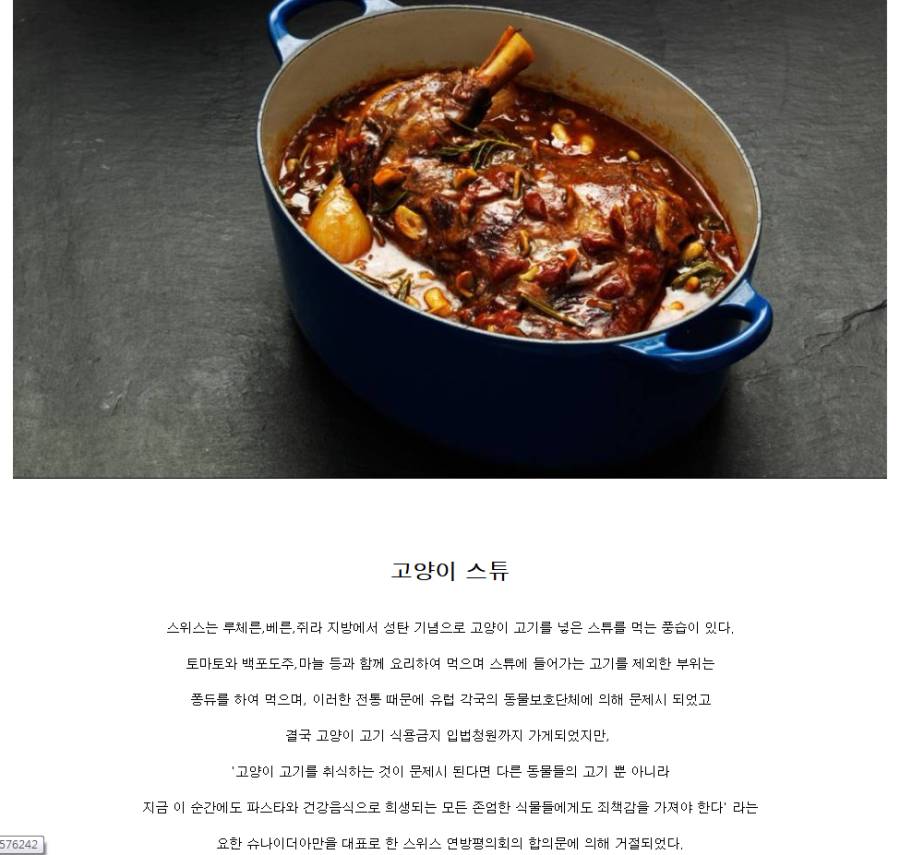 고양이 고기를 먹는 국가 | 인스티즈