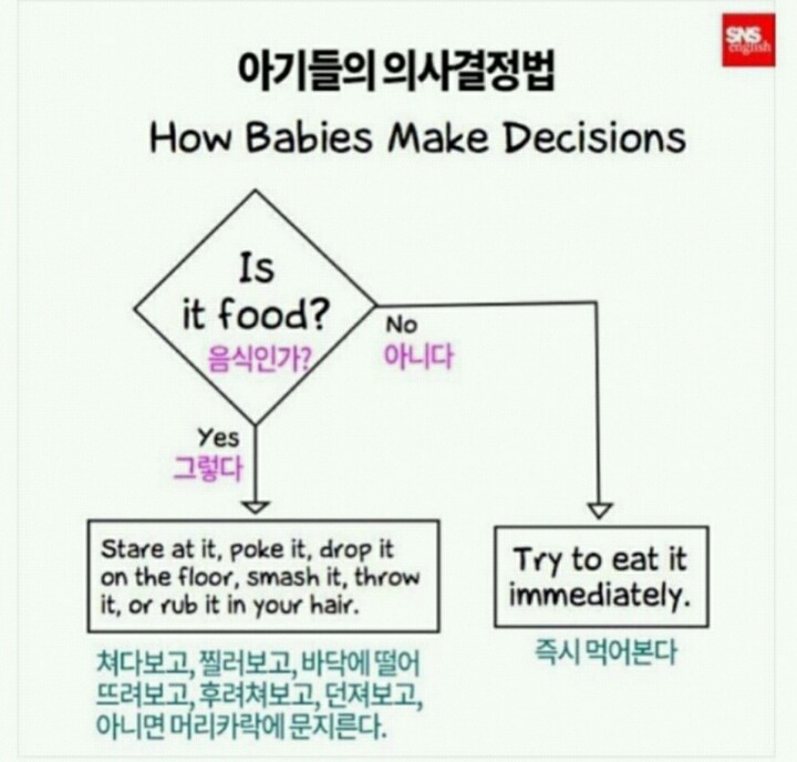 아기들의 의사결정 방법 | 인스티즈
