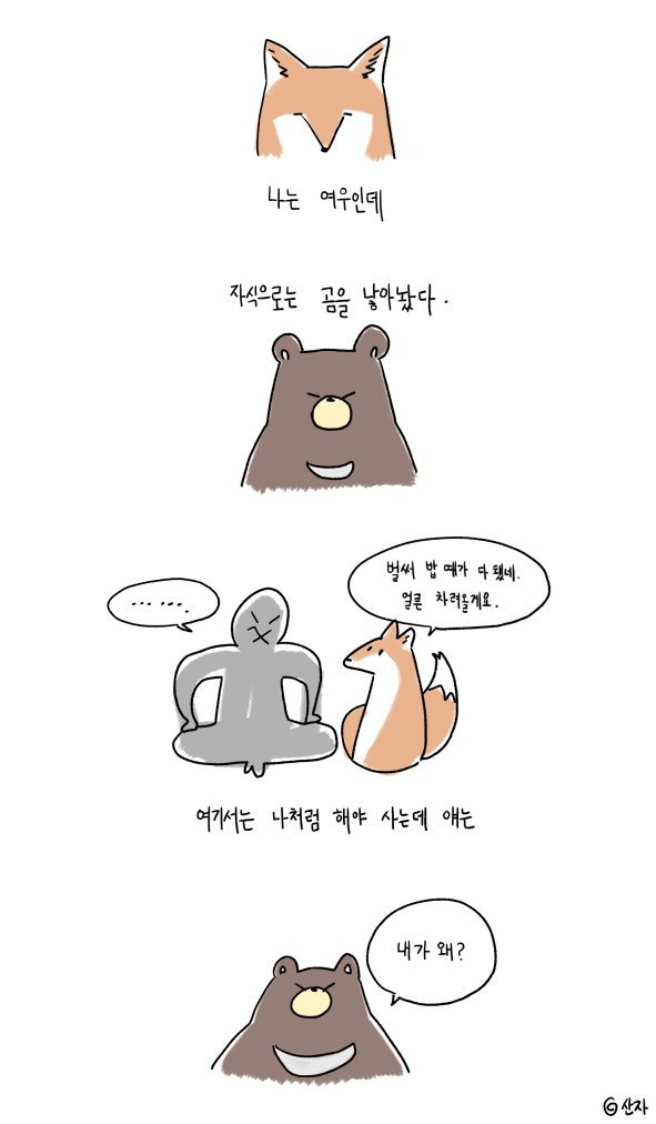 여자는 곰보다 여우가 돼라 | 인스티즈
