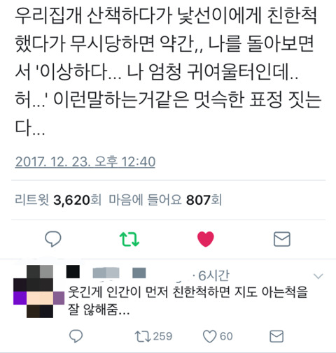 댕댕이 : 이상하다..... 난 엄청 귀여운데... 왤까..... | 인스티즈