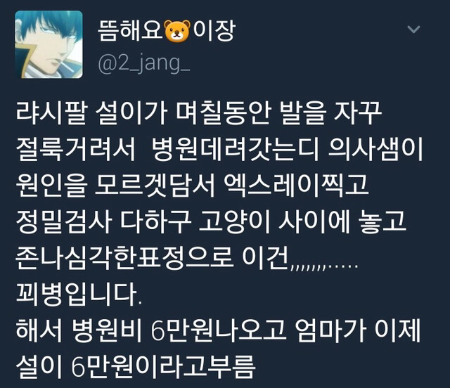 고양이가 갑자기 한쪽 다리를 들고 다녀서 병원 갔는데.twt | 인스티즈