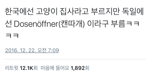 한국의 고양이 집사들은 그나마 사정이 나음.twt | 인스티즈