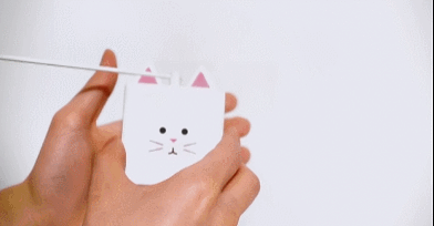 고양이 장난감.gif | 인스티즈