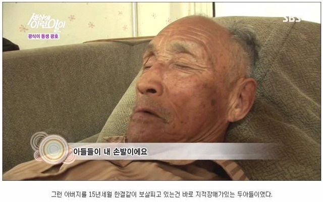 세상에 이런일이 - 길 위에 효자형제 (사이다형제) | 인스티즈