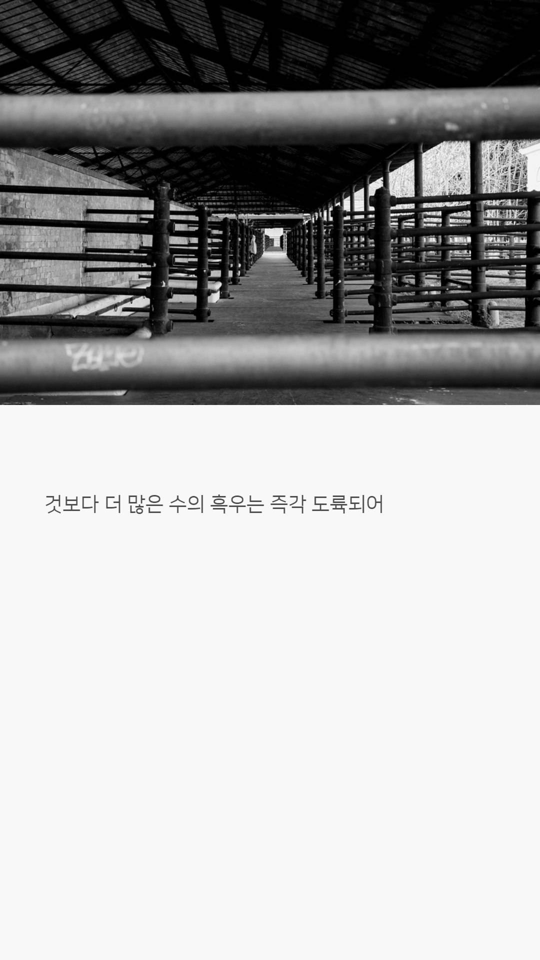 우리나라 한우는 왜 황색일까?jpg | 인스티즈