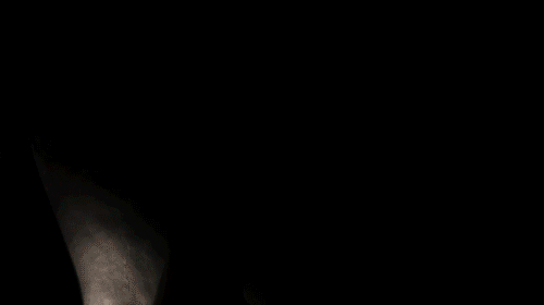 보는 것만으로도 짜릿한 쾌감을 느끼게 하는 슈퍼모델 칼리 클로스의 캣워크.gif | 인스티즈