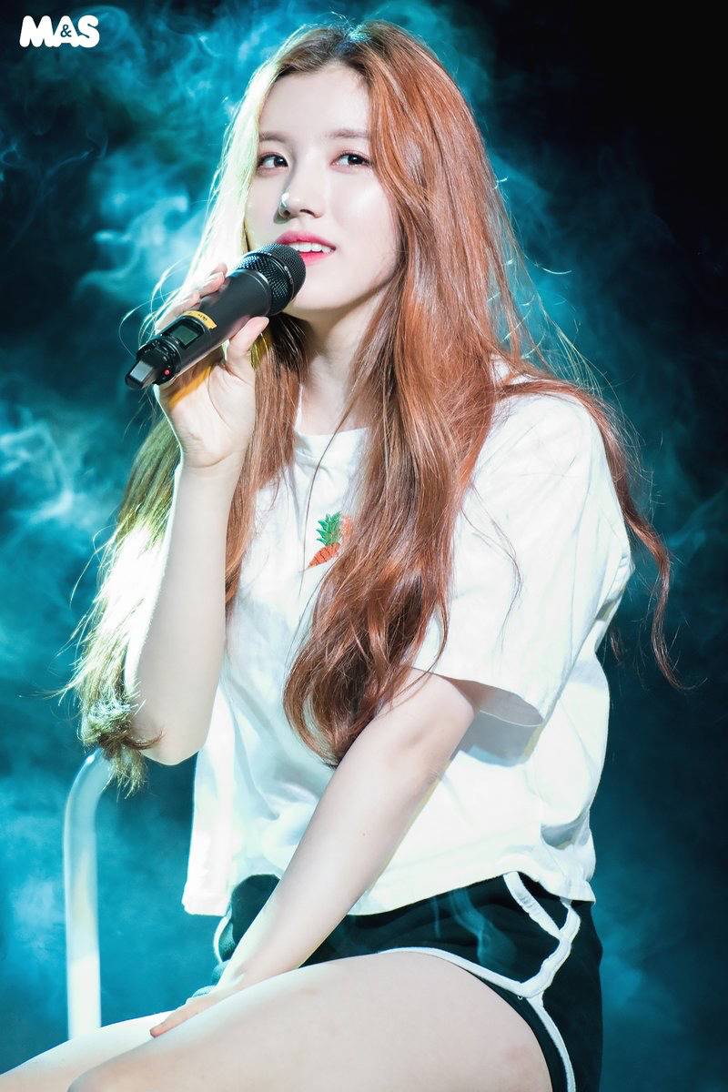 프리스틴 도도하게 생겼지만 코기를 담당하고 있는 시연이 | 인스티즈