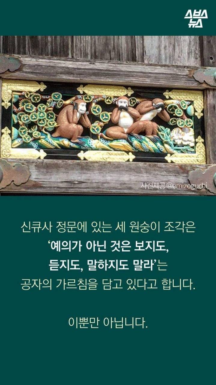 🙊🙉🙈 이원숭이 이모티콘에 심오한 뜻이.. | 인스티즈