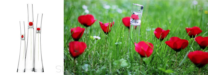  여자향수 베스트 | 인스티즈