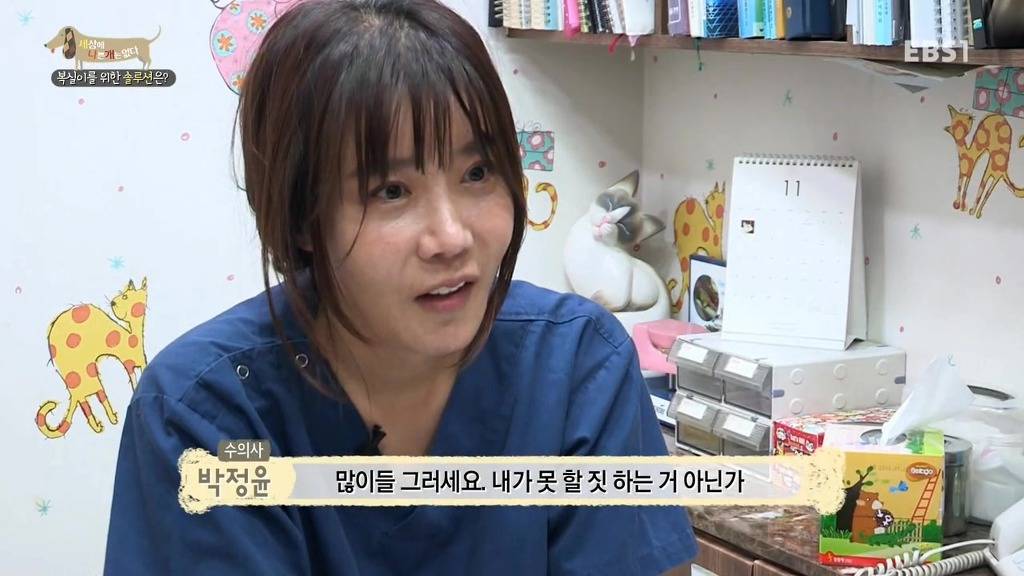 개 키울때 중성화 수술을 해줘야하는 이유 (feat.세나개) | 인스티즈