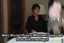 킴카다시안 가족 리얼리티가 서양에서 인기있는 이유 | 인스티즈