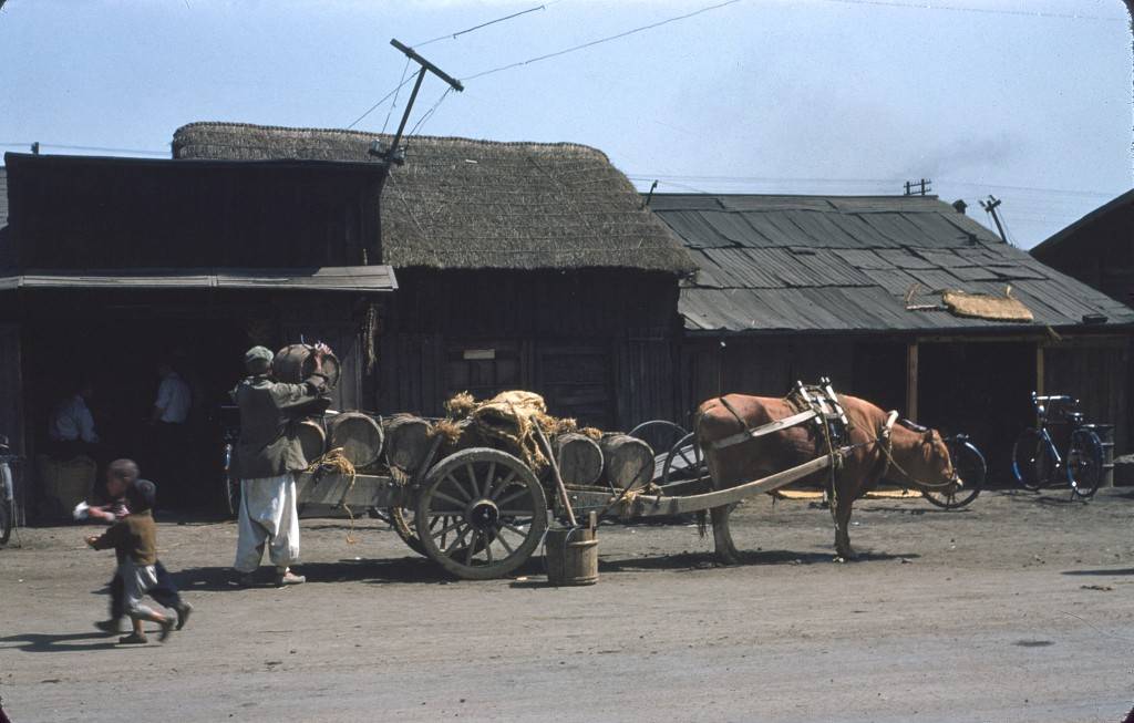1950년 한국전쟁 후 미군에 의해 찍힌 초고화질 컬러 사진 jpg | 인스티즈