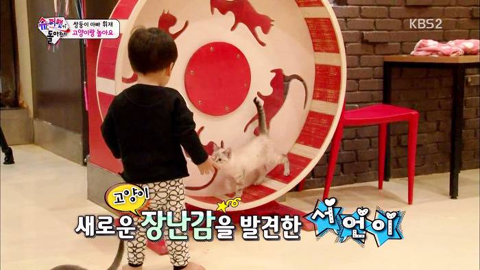 [슈퍼맨이돌아왔다] 서언이가 한없이 관대해지는 존재들ㅋㅋㅋ.JPG | 인스티즈