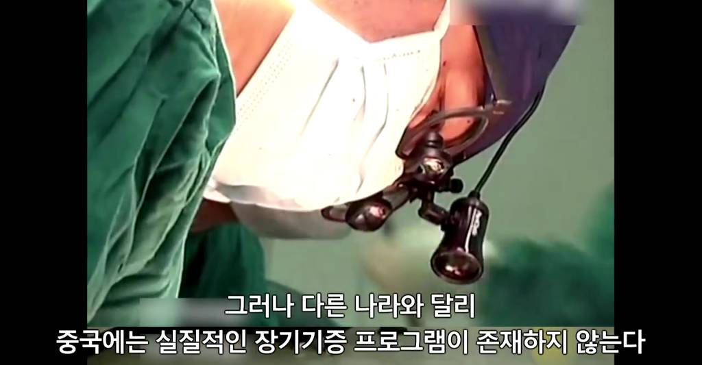 장기를 얻기 위한 살인[KilledforOrgans] | 파룬궁수련인 대상 강제 장기적출 | 인스티즈