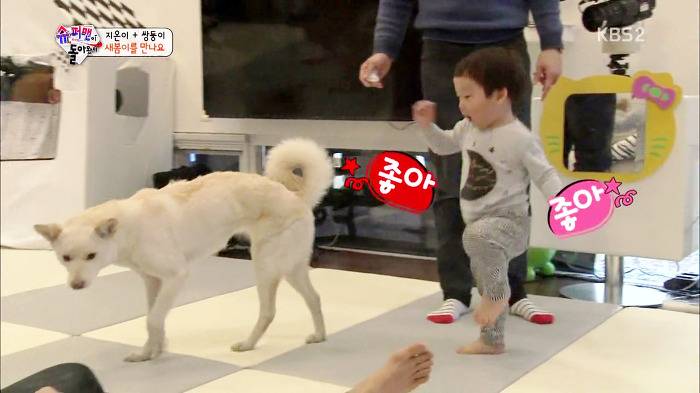 [슈퍼맨이돌아왔다] 서언이가 한없이 관대해지는 존재들ㅋㅋㅋ.JPG | 인스티즈