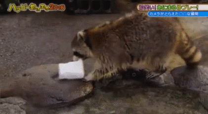 한강 가즈아ㅏㅏㅏㅏ.gif | 인스티즈