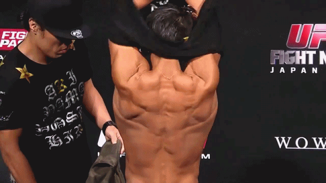 ì¶ì±í ëª°ì¹´ gifì ëí ì´ë¯¸ì§ ê²ìê²°ê³¼