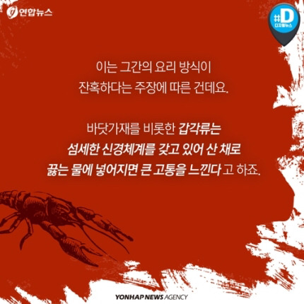 산 채로 끓는 물에 넣어지는 바닷가재 고통 아시나요 | 인스티즈