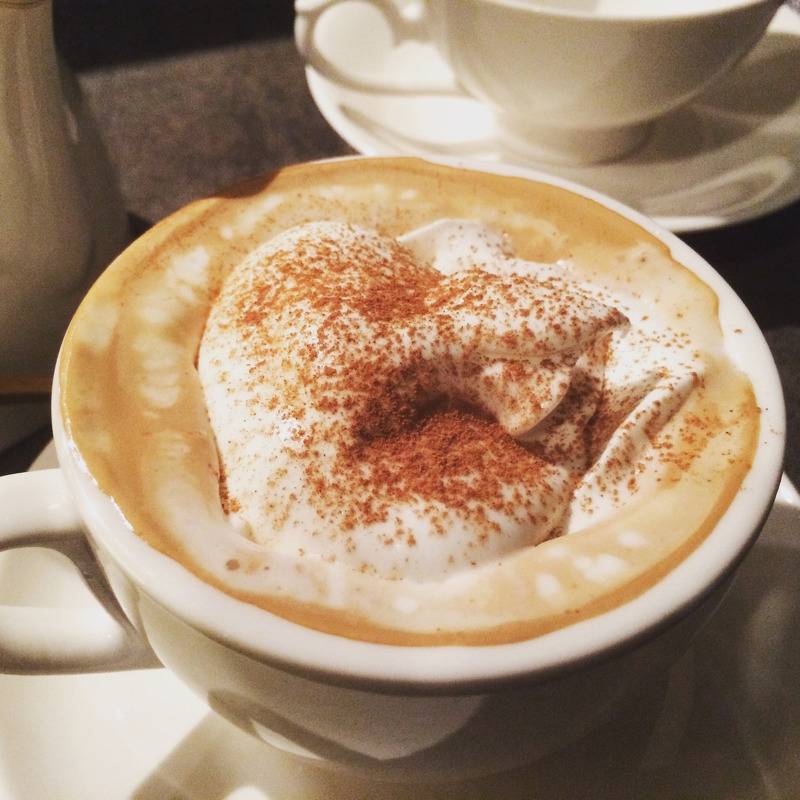 [비엔나커피] 뜨거운 아메리카노와 차가운 크림의 조합 | 인스티즈