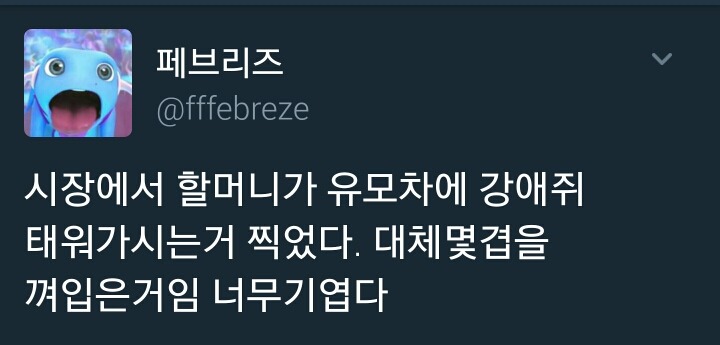  할머니가 댕댕이 춥지말라고 옷을 입혀주셨다 | 인스티즈