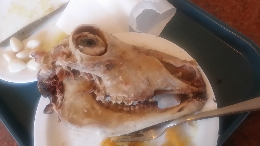 아이슬란드에서 먹은 충격적인 양머리 요리.jpg (혐오주의) | 인스티즈