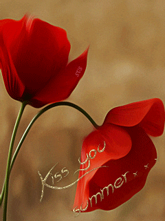 당신의 재치에 감탄하며 놓고가는 등산카페 움짤 모음.gif | 인스티즈