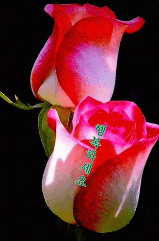 당신의 재치에 감탄하며 놓고가는 등산카페 움짤 모음.gif | 인스티즈