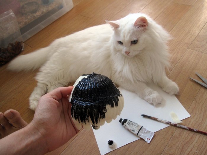 고양이 클레오파트라 가발 만들기! | 인스티즈