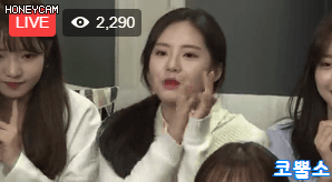 프로미스 박지원 | 인스티즈