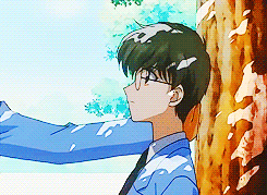 카드캡터체리 공식 메이져 커플.gif | 인스티즈