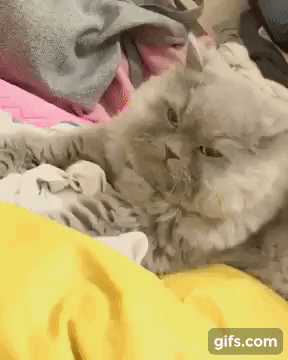 심통난거 아니긔 | 인스티즈