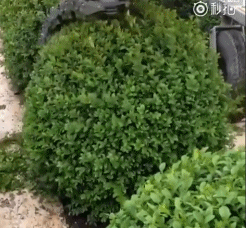 신박한 기계들 | 인스티즈